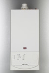 Alpha CD 13 R Alpha CD 13 R